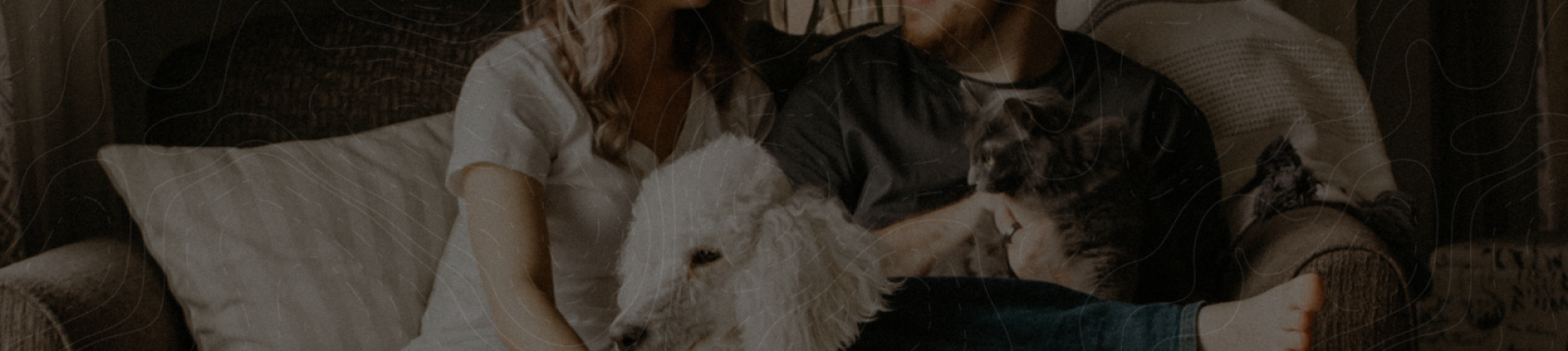 SIÊU THỊ THÚ CƯNG PET YÊU