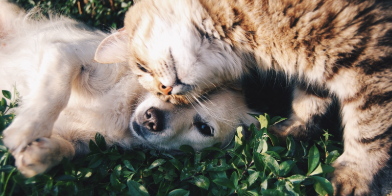 Everyday Healthy Breakfast for Healthy Body