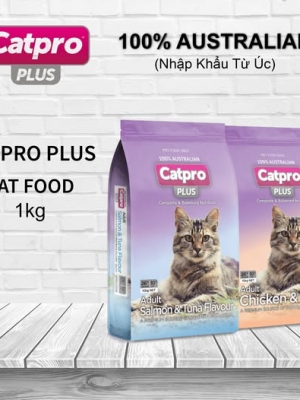 CATPRO PLUS