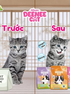 𝐃𝐞𝐞 𝐍𝐞𝐞 𝐂𝐚𝐭