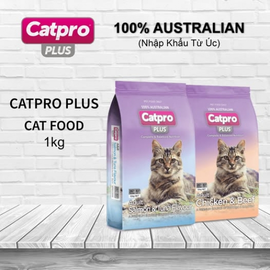 CATPRO PLUS